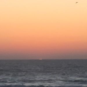 Meet your Posher, Sherri